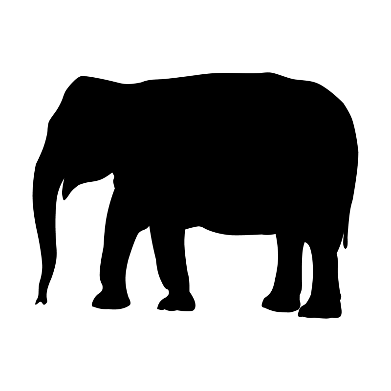 Eléphant Eléphant